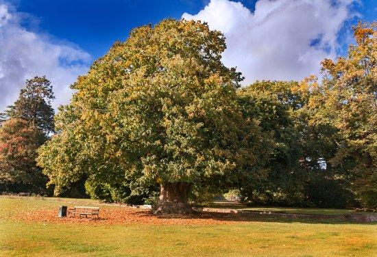 Cranford Country Park